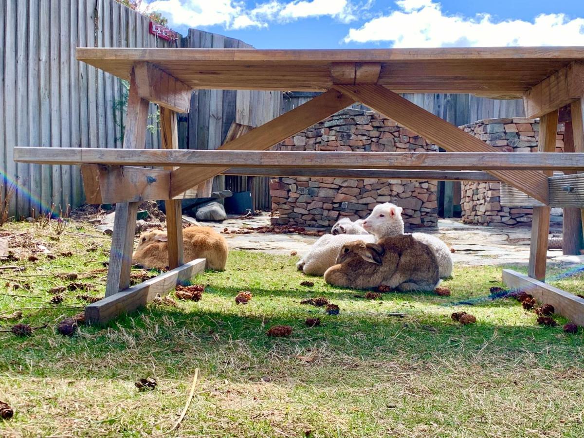 Tailor Made Tekapo Accommodation - Hostel Lake Tekapo Εξωτερικό φωτογραφία