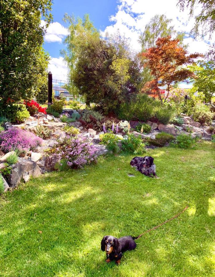 Tailor Made Tekapo Accommodation - Hostel Lake Tekapo Εξωτερικό φωτογραφία