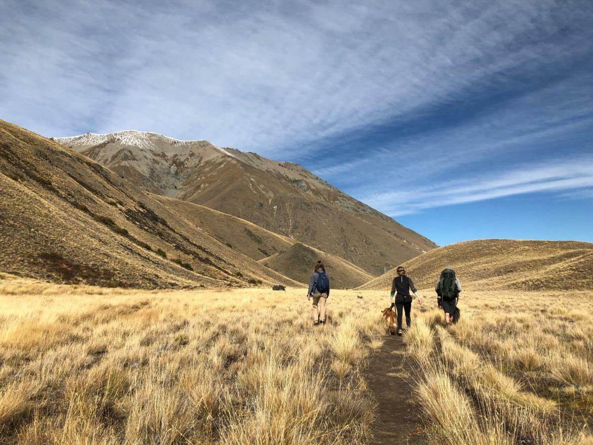 Tailor Made Tekapo Accommodation - Hostel Lake Tekapo Εξωτερικό φωτογραφία