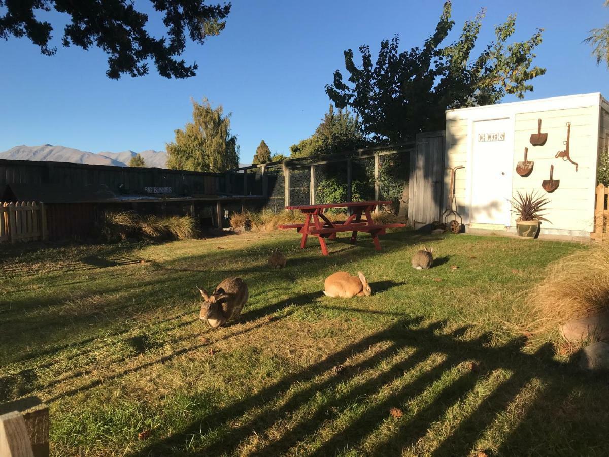 Tailor Made Tekapo Accommodation - Hostel Lake Tekapo Εξωτερικό φωτογραφία