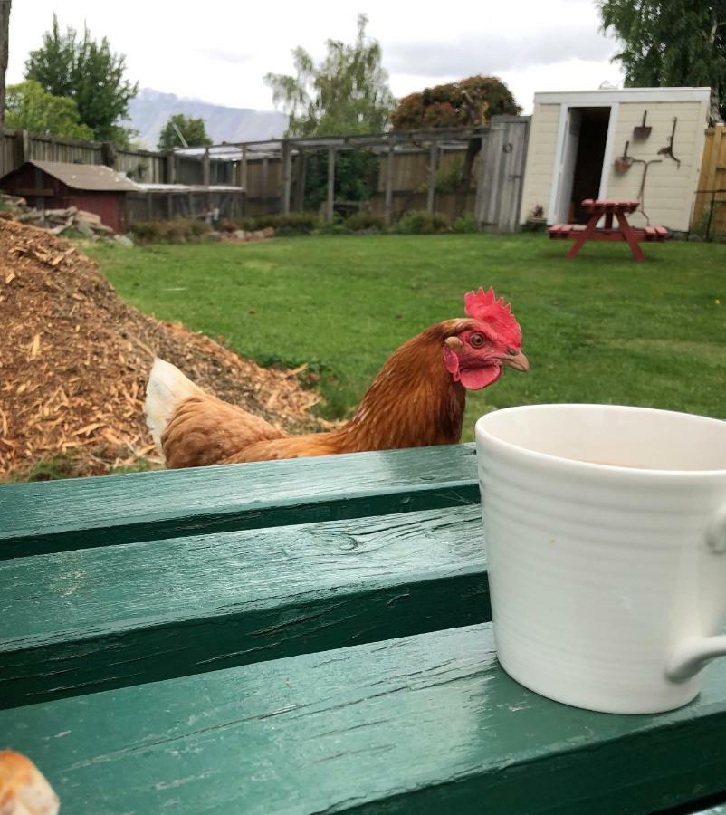 Tailor Made Tekapo Accommodation - Hostel Lake Tekapo Εξωτερικό φωτογραφία